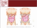 Chapter 1 - Intro to Structure & Function of the Body