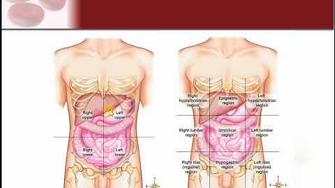 Chapter 1 - Intro to Structure & Function of the Body