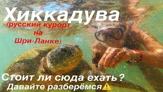 Хиккадува- русский курорт на Шри_Ланке (часть 7)