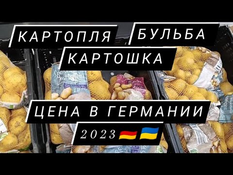 Сколько стоит картошка в Германии 🇩🇪🇺🇦??? Картошка, Картопля, Бульба 😁😁😁 Украинцы в Германии 2023