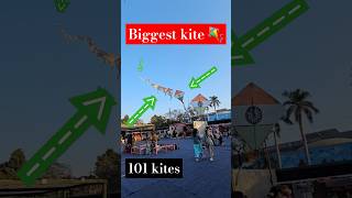 New 101 kites #kite #shorts #trending #viralvideo #kiteflying #viralshorts #variety #video #vlogger