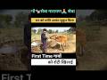 गौ सेवा 🙏❤️  #minivlog #ytshorts