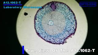 Opto-Edu A12.1062 Binocular Lcd Laboratory Biological Microscope