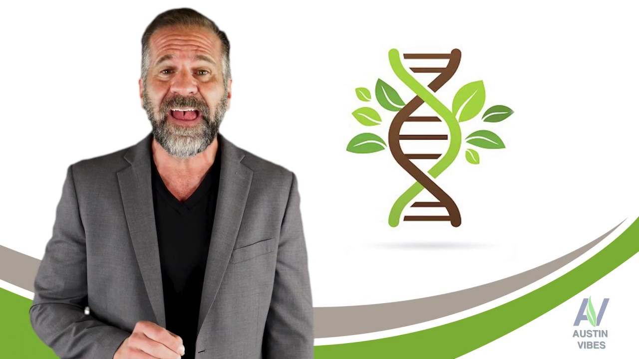 Your Guide To White Borneo Kratom