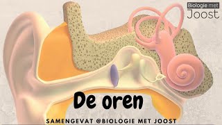 Oren | Samenvatting