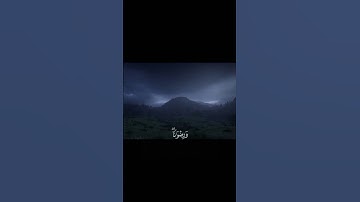 محَمَّدٌ رَّسُولُ اللَّهِ ۚ وَالَّذِينَ مَعَهُ أَشِدَّاءُ ||تلاوة خاشعة بصوت الشيخ ماهر المعيقلي💗🌿