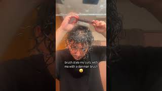 Denman Brush On Curls