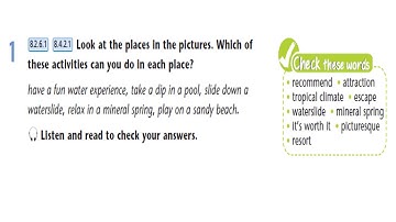 Excel. Grade 8. Lesson 25. Steve