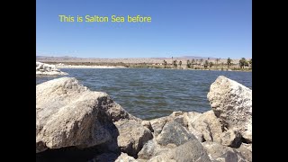 Salton Sea Indio Can we still fish for Tilapia Visit the Coachella Canal