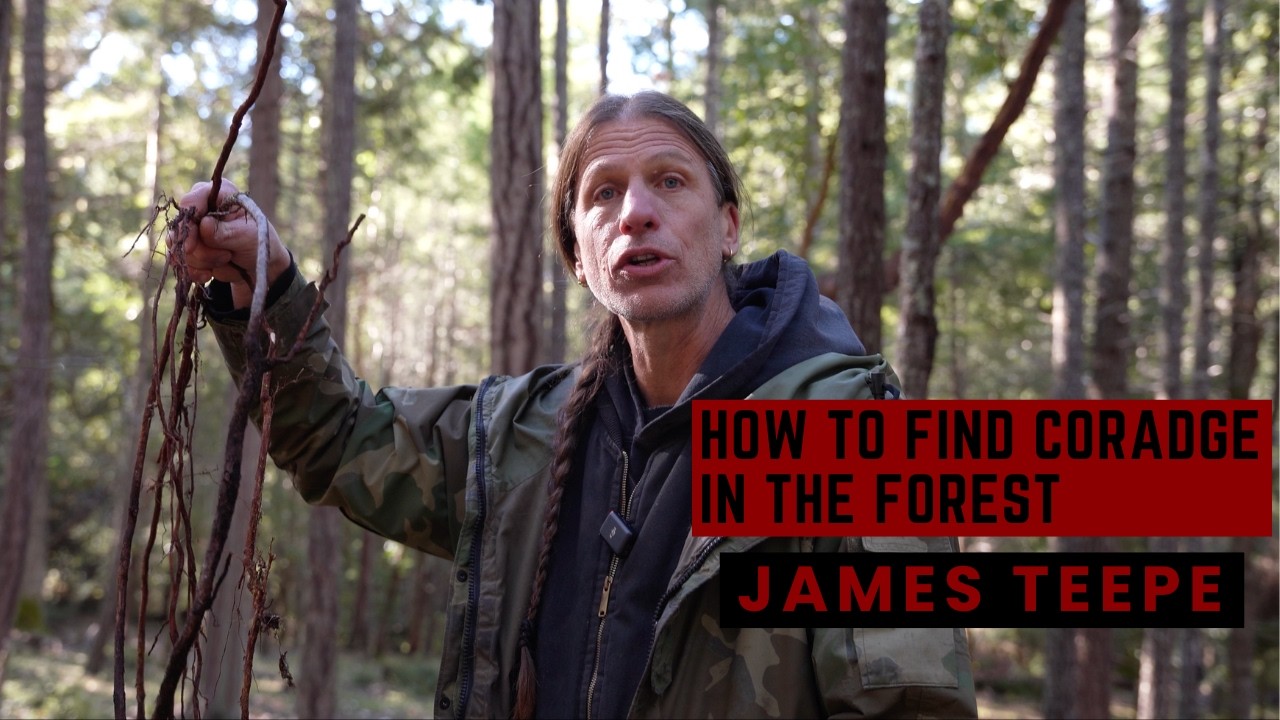 ￼ Harvesting Roots For Cordage and Medicine and Other Adventures