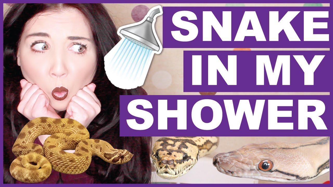 The MASSIVE Snake In My Shower Dreamtime YouTube