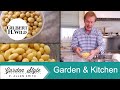 Summer Garden Perennials + Home and Kitchen Trends | Garden Style (1310)