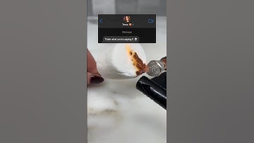 I Messed Up 💀 #funny #shorts #textstories #viralvideo #text #memes #views