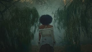 UMI - Forest In The City (Album Trailer)