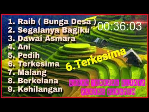 Full album terbaru Raib Bunga desa🌺🌻🌹🌷 H Rhoma Irama
