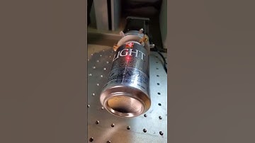 FULL Bee Movie Script on THIS CAN (Must See)