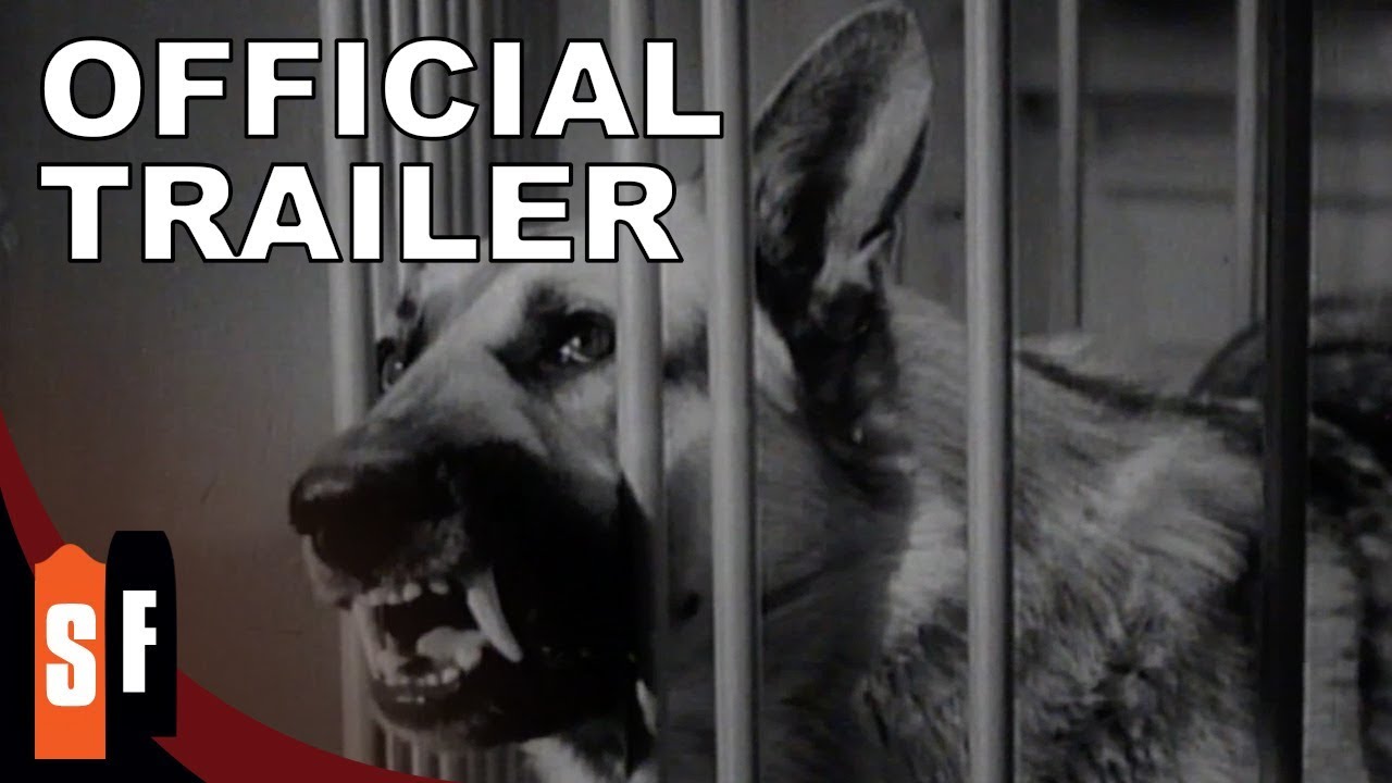 Monster On The Campus (1958) - Official Trailer