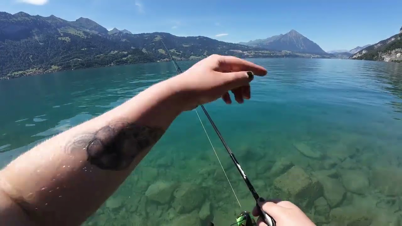 Ero lì, in piedi sull'acqua, quando ho visto il persico più grande della giornata seguire la mia esca fino a pochi centimetri dalla riva. Ho tirato il mulinello troppo in fretta, e lui si è...