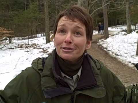 Hocking Hills Winter Hike 2010 - Naturalist Jenny ...