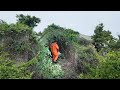 We Cut Through the Overgrowth and Found a House Inside — The Scene Shocked Everyone!”