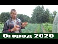 Урожайный огород 2020 или "Как потопаешь, так и полопаешь"!