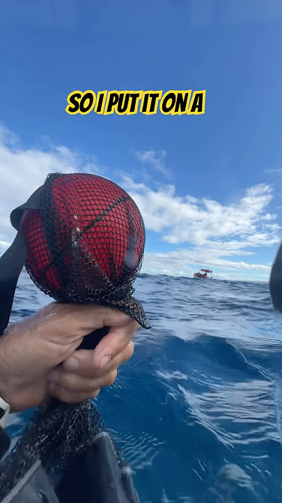 Any thoughts on why this happened? Epic 😎🤿🕺🏻