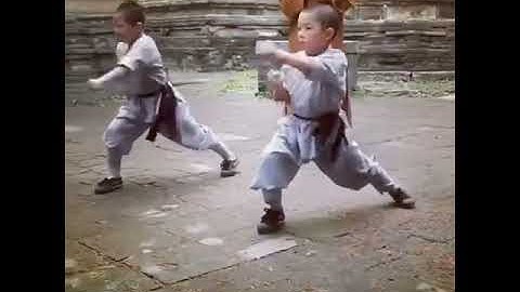 Shaolin kids - Kung Fu Training Martial Arts Chinese