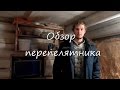 Перепела от яйцА до Яйца. Обзор перепелятника.