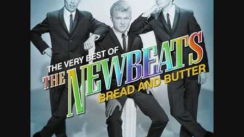 Run Baby Run-The Newbeats-1965