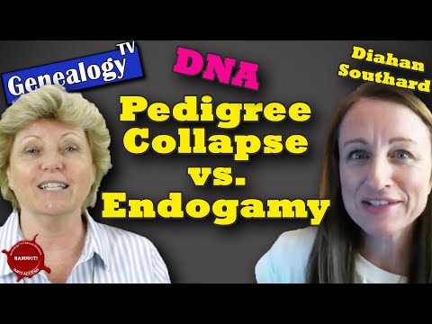 DNA - When Cousins Marry: Pedigree Collapse vs Endogamy