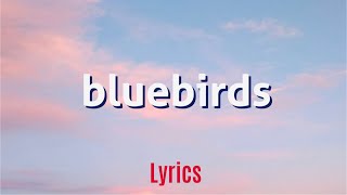 Rxseboy - bluebirds (Lyrics) ft. conflicts