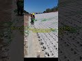 #brick #Brick-making machine