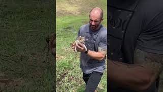 Guy Finds Kitten In Field After Flood and Rescues Them