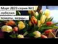 Март 2023 серия №1. Рассада.