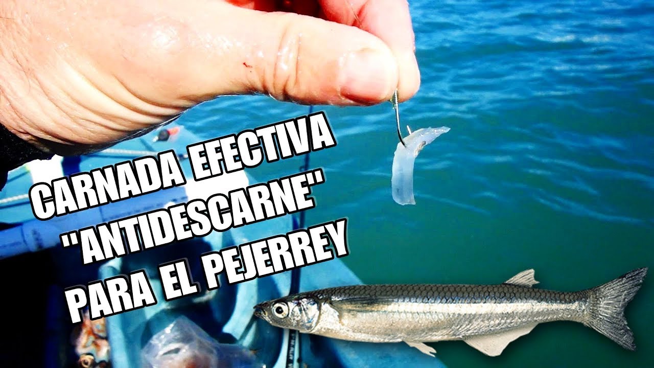CARNADA EFECTIVA 