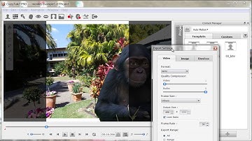 Crazy Talk -  Background Image and Video Output