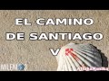 Milenio 3 - El camino de Santiago V: Final