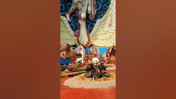 Saraswati puja contai #contai #saraswatipuja