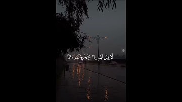 #القرآن_الكريم #اكسبلور #تلاوة_خاشعة #لايك #دعمكم