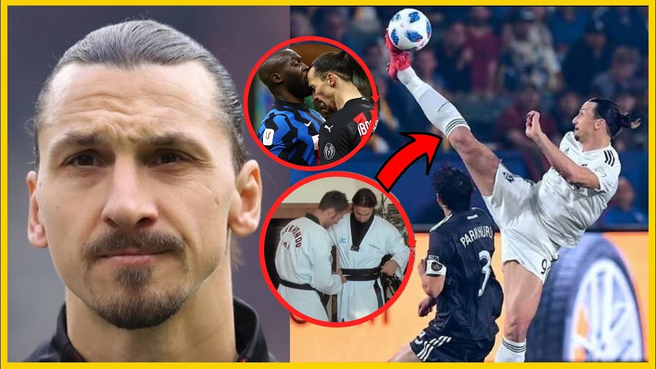 HISTORIA YA IBRAHIMOVIC MCHEZAJI NA MPIGANA MARTIAL ARTS YouTube