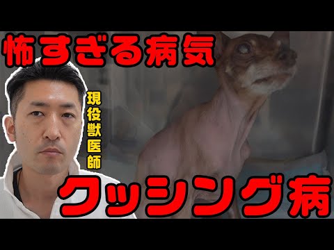 侮ってはいけない！クッシング病