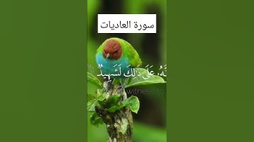 #سورةـالعاديات #ايات_قرانيه_قصيره #اكسبلور #قران_كريم #سورة #لايك