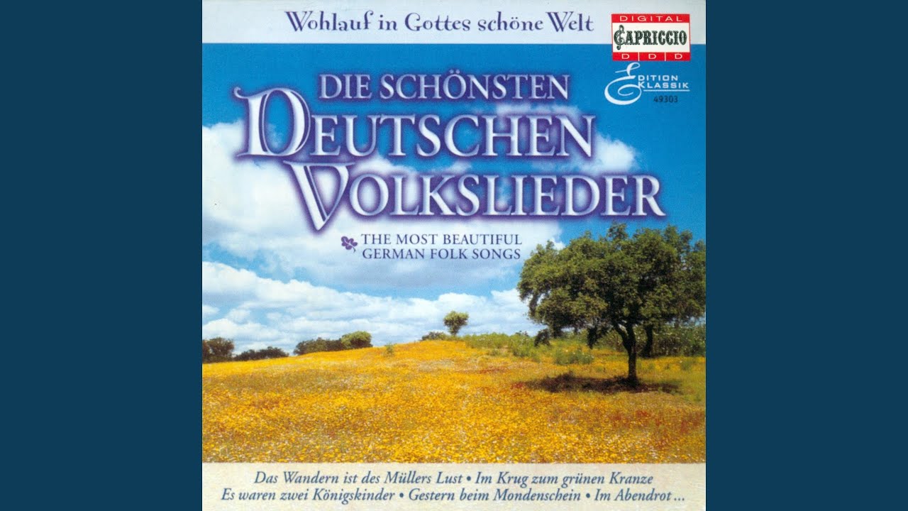 Guarda Die Blumelein sie schlafen su YouTube Guarda Die Blumelein sie schlafen su YouTube