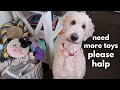 Floof Dog&#39;s House Tour!