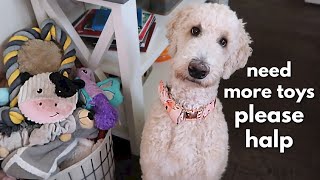 Floof Dog&#39;s House Tour!