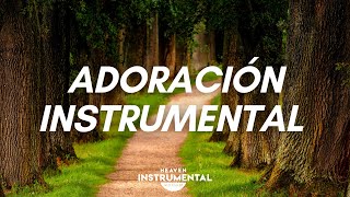 ‍♂Adoración Instrumental / Paz Espiritual / Descansa En Dios‍♂