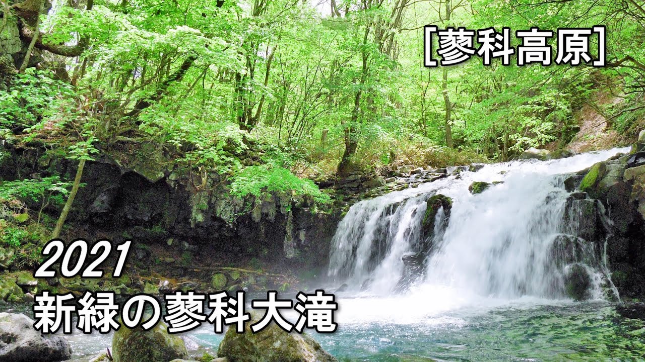 蓼科観光モデルコース 日帰りで巡る9つの観光名所 ジャパンワンダラー