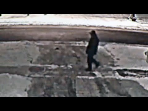 Newly released video of suspect in Barry and Honey Sherman murder case