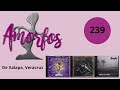 AMORFOS - BUSCANDO EL ROCK MEXICANO