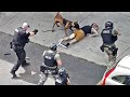 Wanted Fugitive Gets Shot by Colorado Springs Police Officers After Brandishing a Gun